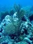 belize2003 - 40